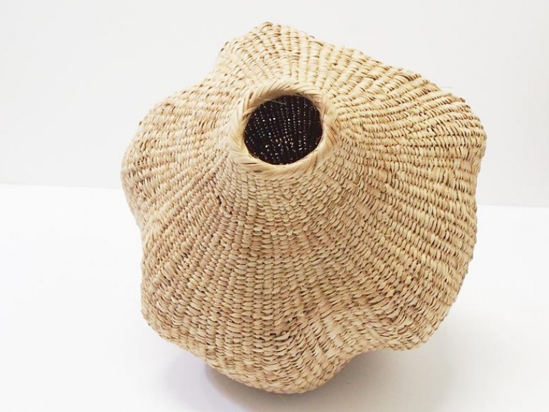 Garlic Gourd 40cm Garlic Gourd 40cm